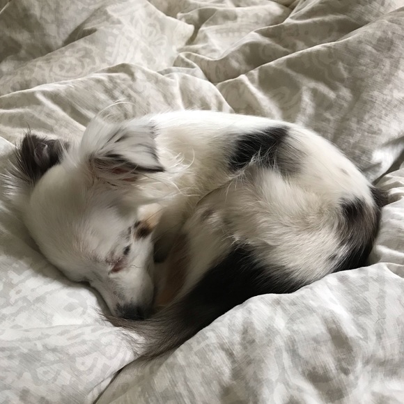 Meet your Posher, Sarah - Picture 1 of 1